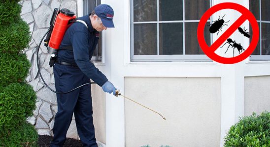 Tarsus Tahtakurusu İlaçlama böcek ilaçlama ve haşere kontrolü — ilaclama-tr.com